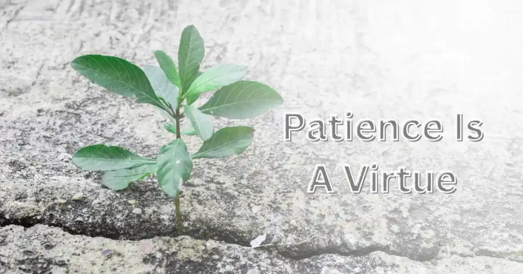 Patience Is A Virtue Meaning And 3 Big Reasons Why It Should Never Run Out